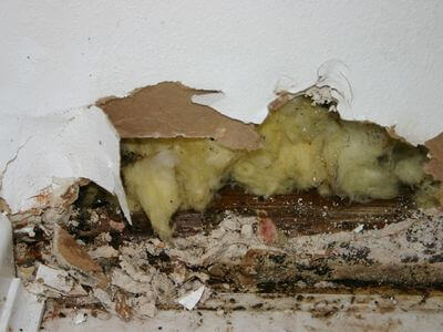 Professional water damage restoration services in Mississauga